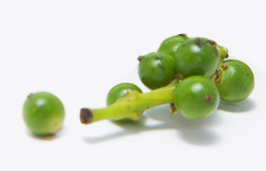 Kampot Pepper