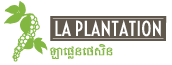 Kampot Pepper | Кампотский перец
